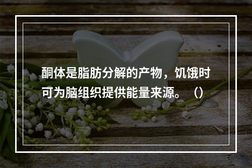 酮体是脂肪分解的产物，饥饿时可为脑组织提供能量来源。（）