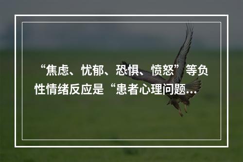 “焦虑、忧郁、恐惧、愤怒”等负性情绪反应是“患者心理问题”的