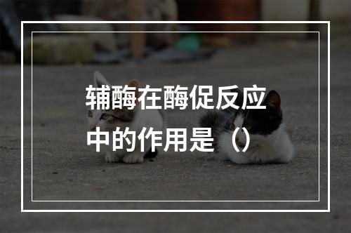 辅酶在酶促反应中的作用是（）