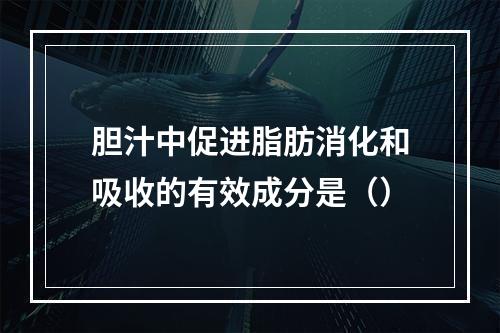 胆汁中促进脂肪消化和吸收的有效成分是（）