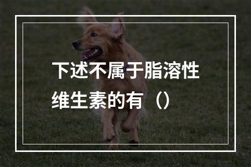 下述不属于脂溶性维生素的有（）