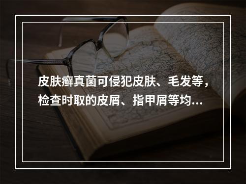 皮肤癣真菌可侵犯皮肤、毛发等，检查时取的皮屑、指甲屑等均先溶