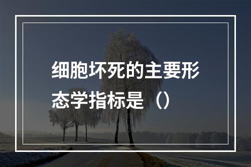 细胞坏死的主要形态学指标是（）