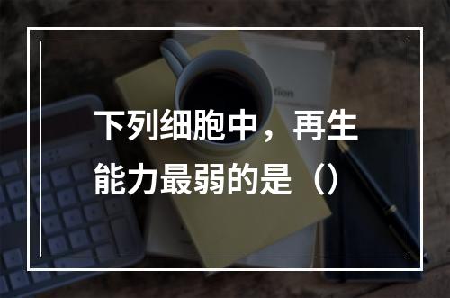 下列细胞中，再生能力最弱的是（）