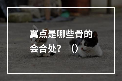 翼点是哪些骨的会合处？（）