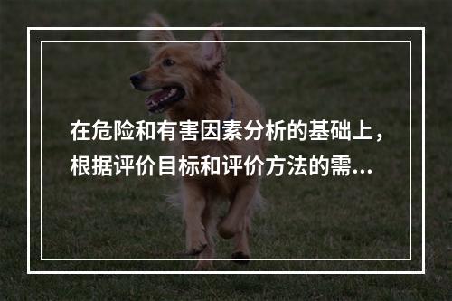 在危险和有害因素分析的基础上，根据评价目标和评价方法的需要，