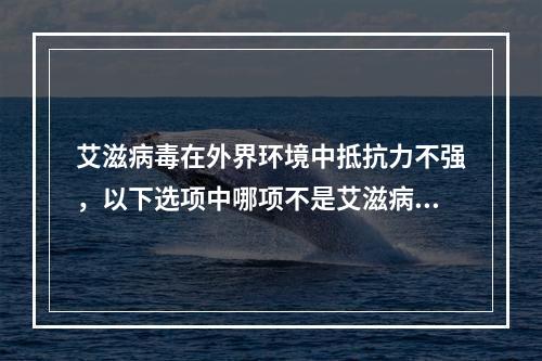 艾滋病毒在外界环境中抵抗力不强，以下选项中哪项不是艾滋病毒的