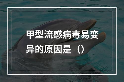 甲型流感病毒易变异的原因是（）