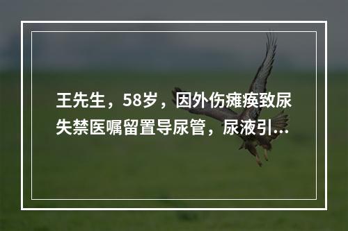 王先生，58岁，因外伤瘫痪致尿失禁医嘱留置导尿管，尿液引流通