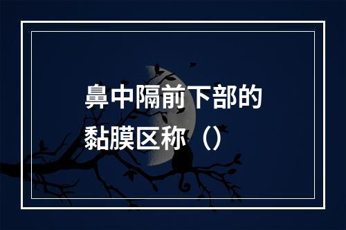 鼻中隔前下部的黏膜区称（）