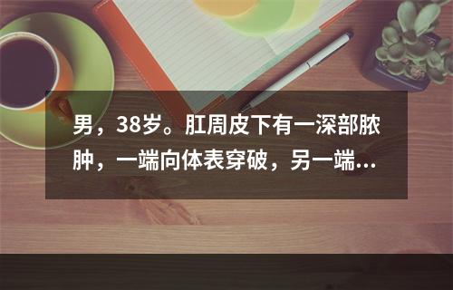 男，38岁。肛周皮下有一深部脓肿，一端向体表穿破，另一端向直