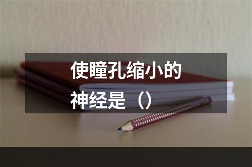 使瞳孔缩小的神经是（）