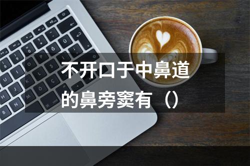 不开口于中鼻道的鼻旁窦有（）