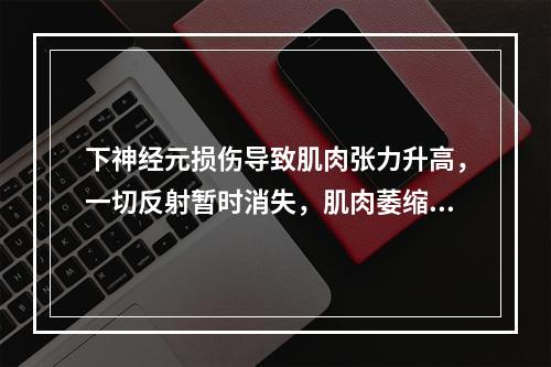 下神经元损伤导致肌肉张力升高，一切反射暂时消失，肌肉萎缩不明