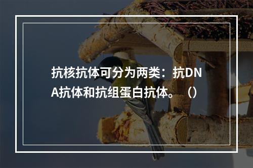 抗核抗体可分为两类：抗DNA抗体和抗组蛋白抗体。（）