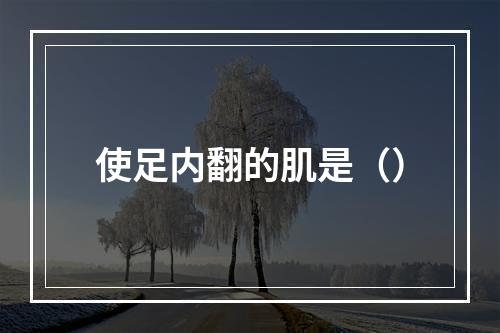 使足内翻的肌是（）