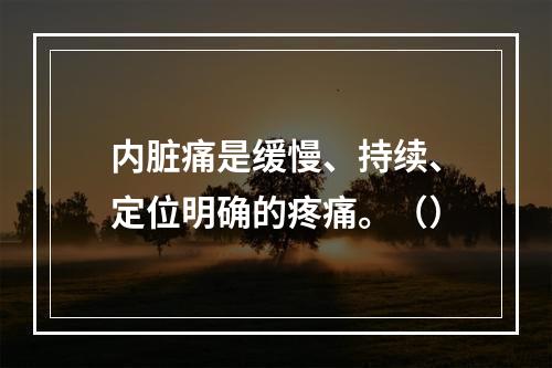 内脏痛是缓慢、持续、定位明确的疼痛。（）