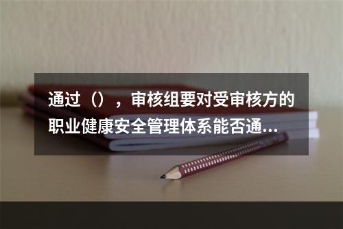 通过（），审核组要对受审核方的职业健康安全管理体系能否通过现