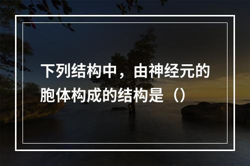 下列结构中，由神经元的胞体构成的结构是（）