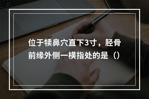 位于犊鼻穴直下3寸，胫骨前缘外侧一横指处的是（）