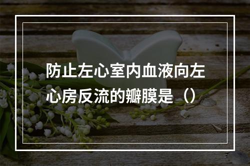 防止左心室内血液向左心房反流的瓣膜是（）