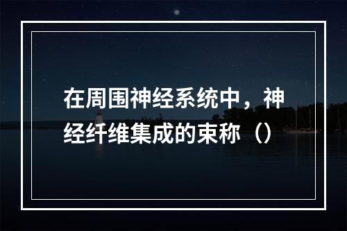 在周围神经系统中，神经纤维集成的束称（）