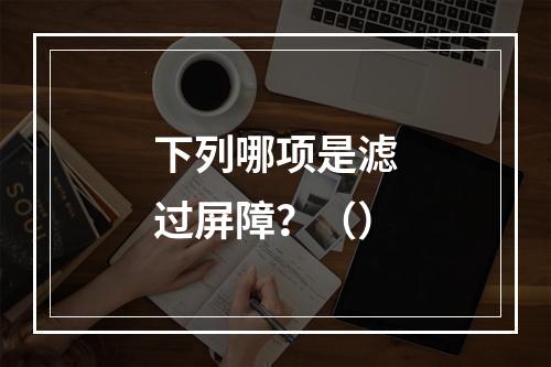 下列哪项是滤过屏障？（）