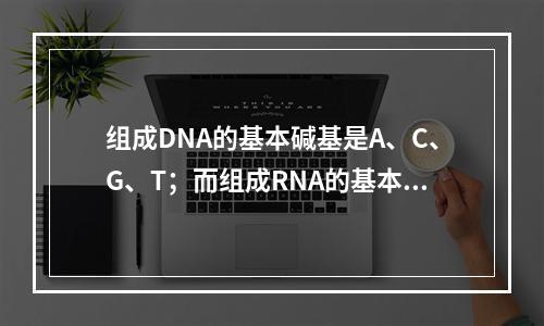 组成DNA的基本碱基是A、C、G、T；而组成RNA的基本碱基