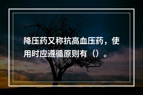 降压药又称抗高血压药，使用时应遵循原则有（）。