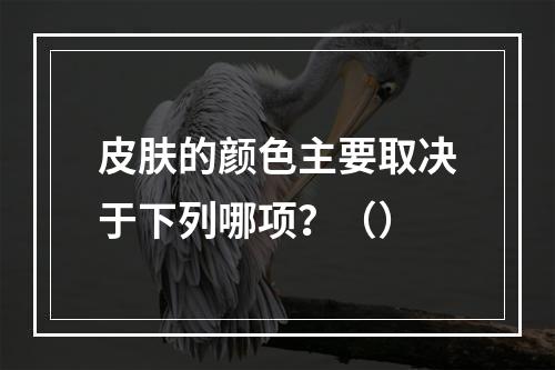 皮肤的颜色主要取决于下列哪项？（）