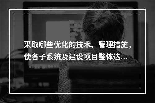 采取哪些优化的技术、管理措施，使各子系统及建设项目整体达到安