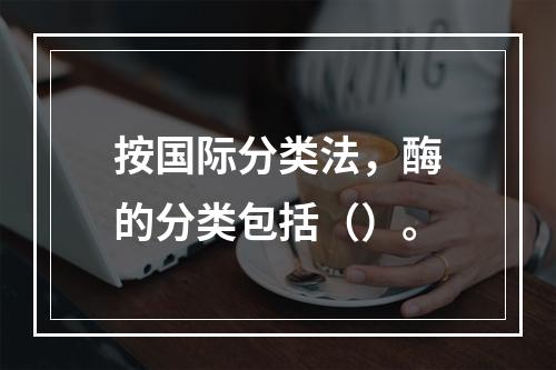 按国际分类法，酶的分类包括（）。