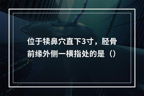 位于犊鼻穴直下3寸，胫骨前缘外侧一横指处的是（）