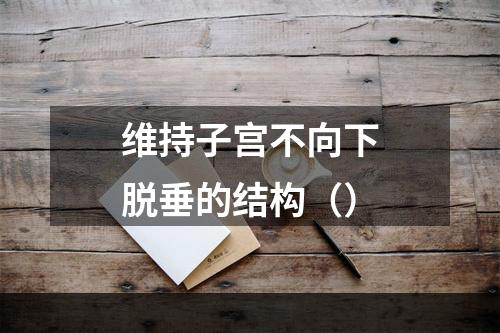 维持子宫不向下脱垂的结构（）