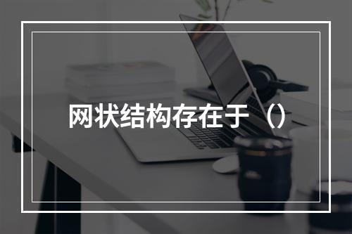 网状结构存在于（）