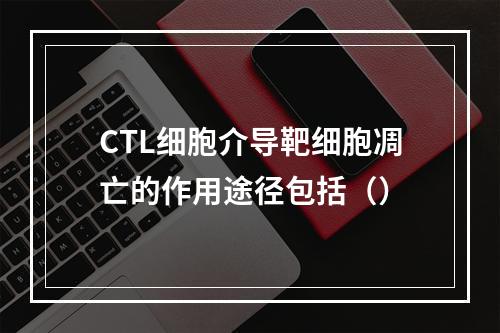 CTL细胞介导靶细胞凋亡的作用途径包括（）