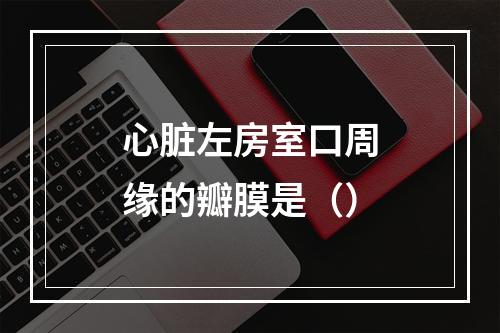 心脏左房室口周缘的瓣膜是（）