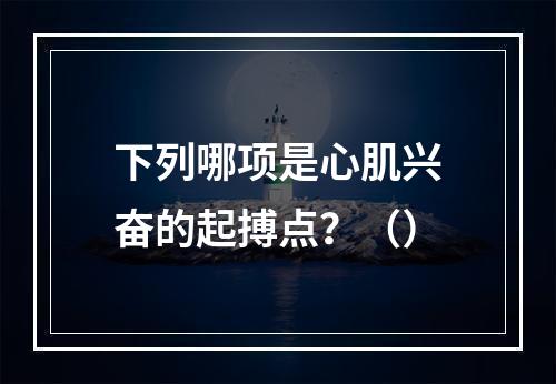 下列哪项是心肌兴奋的起搏点？（）