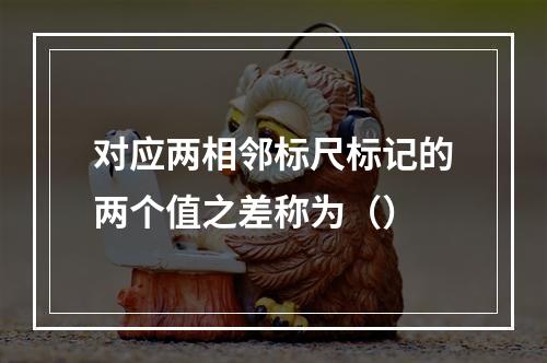 对应两相邻标尺标记的两个值之差称为（）