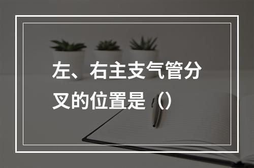 左、右主支气管分叉的位置是（）