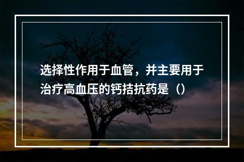 选择性作用于血管，并主要用于治疗高血压的钙拮抗药是（）