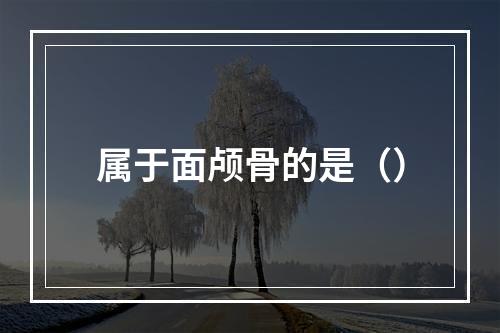 属于面颅骨的是（）