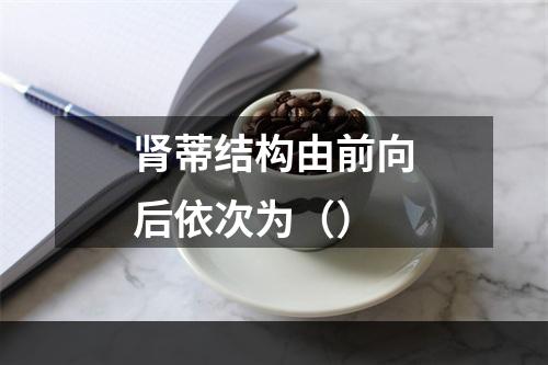 肾蒂结构由前向后依次为（）