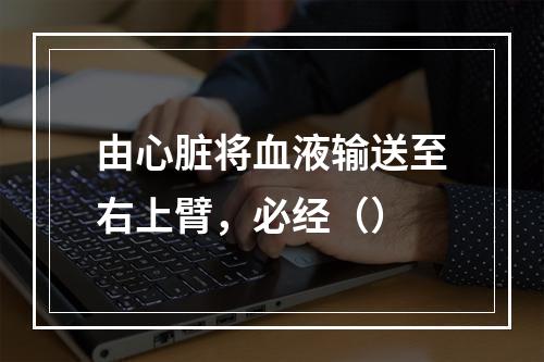 由心脏将血液输送至右上臂，必经（）