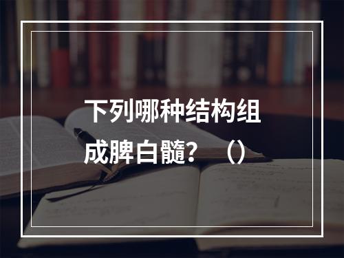 下列哪种结构组成脾白髓？（）