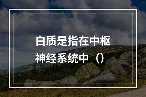 白质是指在中枢神经系统中（）