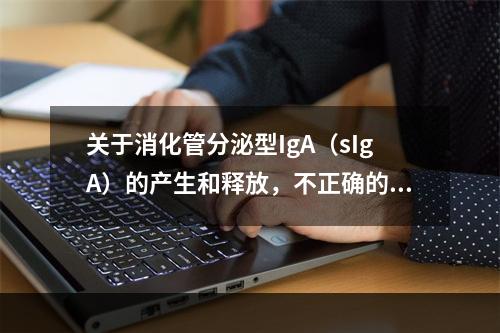 关于消化管分泌型IgA（sIgA）的产生和释放，不正确的是（