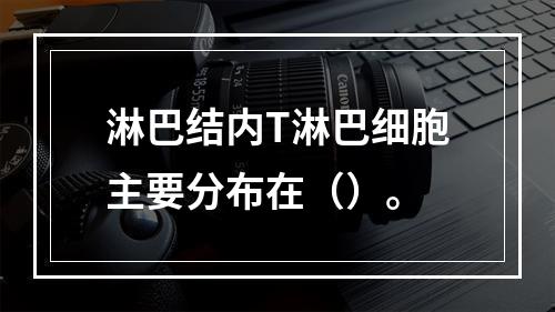 淋巴结内T淋巴细胞主要分布在（）。