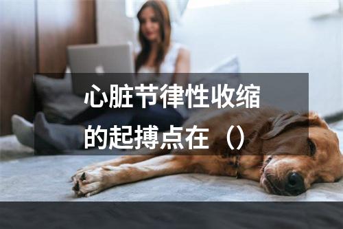 心脏节律性收缩的起搏点在（）