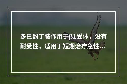 多巴酚丁胺作用于β1受体，没有耐受性，适用于短期治疗急性心肌